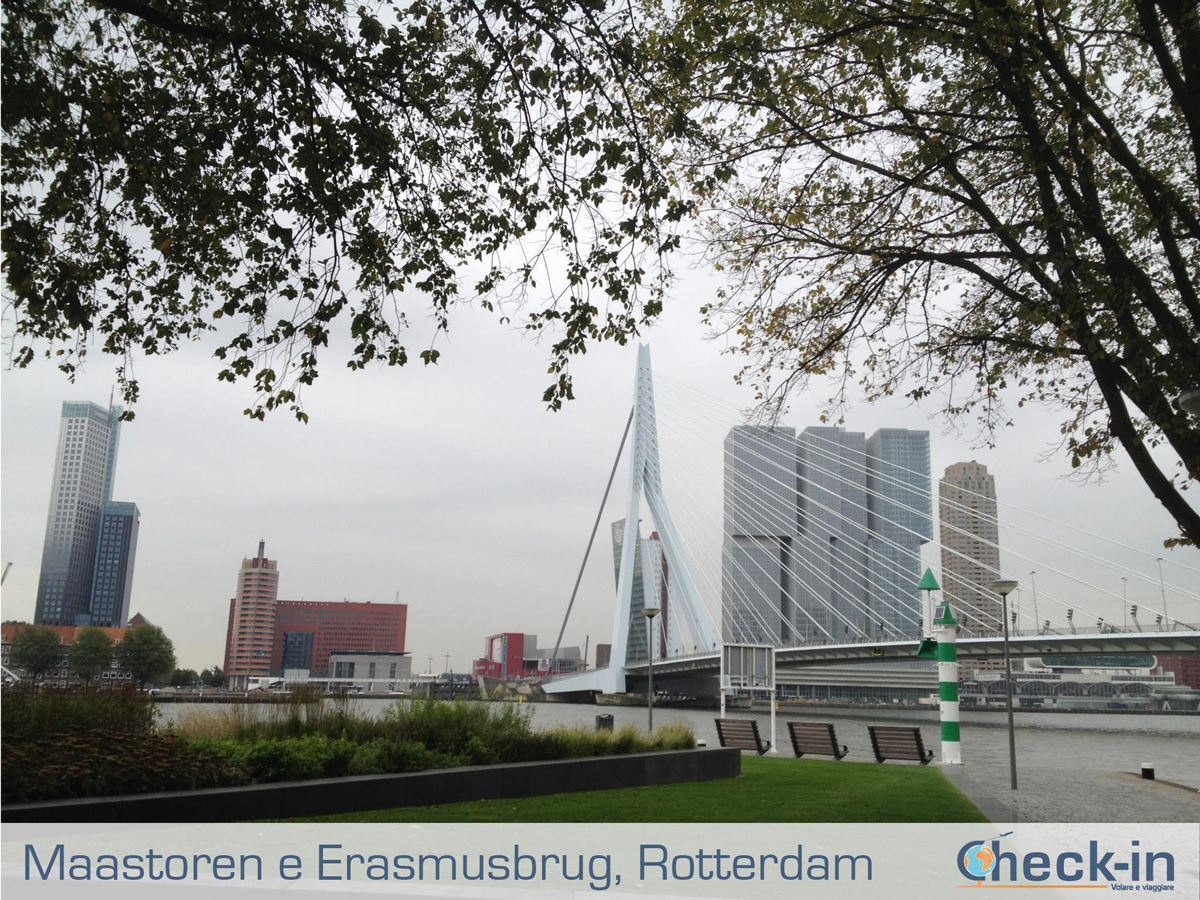 Cosa vedere a Rotterdam in un giorno: Maastoren e Erasmusbrug