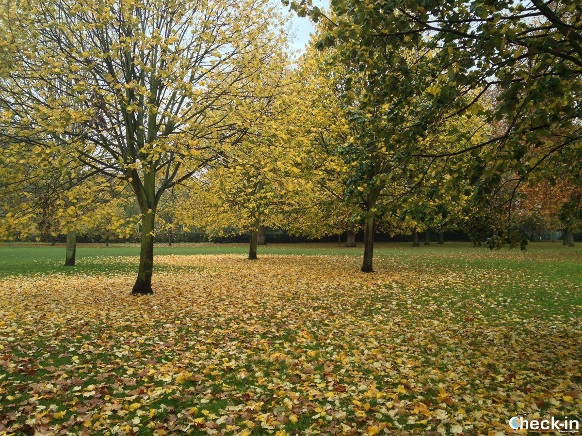 Parchi di Londra: foliage a Regents Park