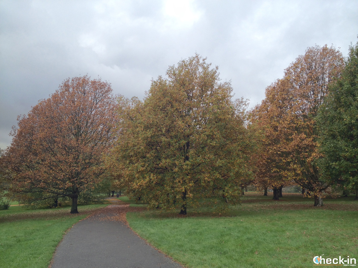 Parchi di Londra: viale vicino a Primrose Hill a Regent's Park