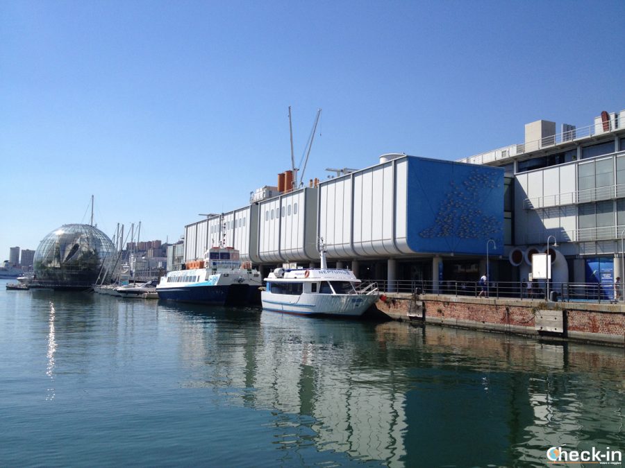 Cosa vedere nel centro storico di Genova: l'Acquario e la Biosfera