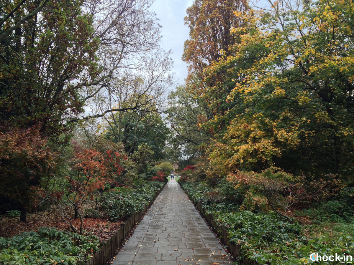 I parchi di Londra: l'Azalea Walk in Holland Park