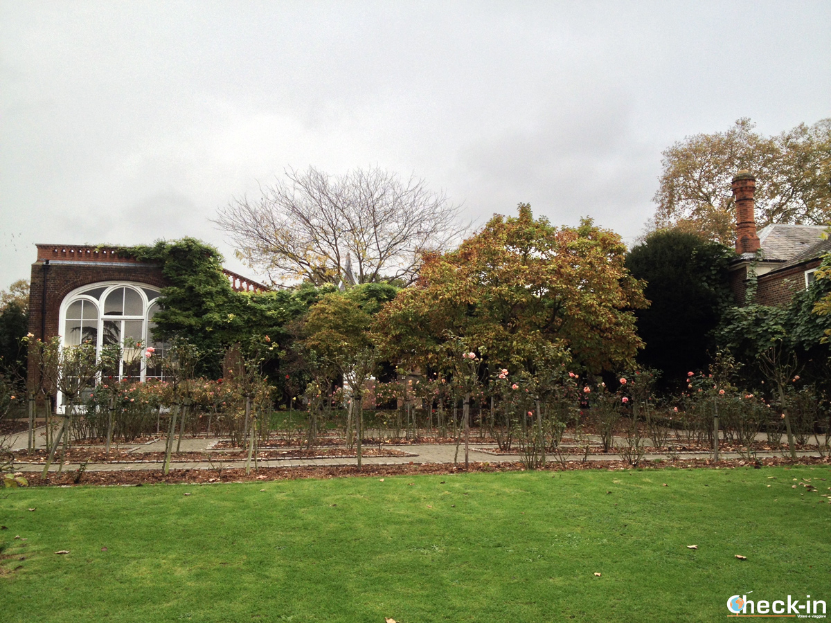 I Parchi di Londra: il Rose Garden di Holland Park