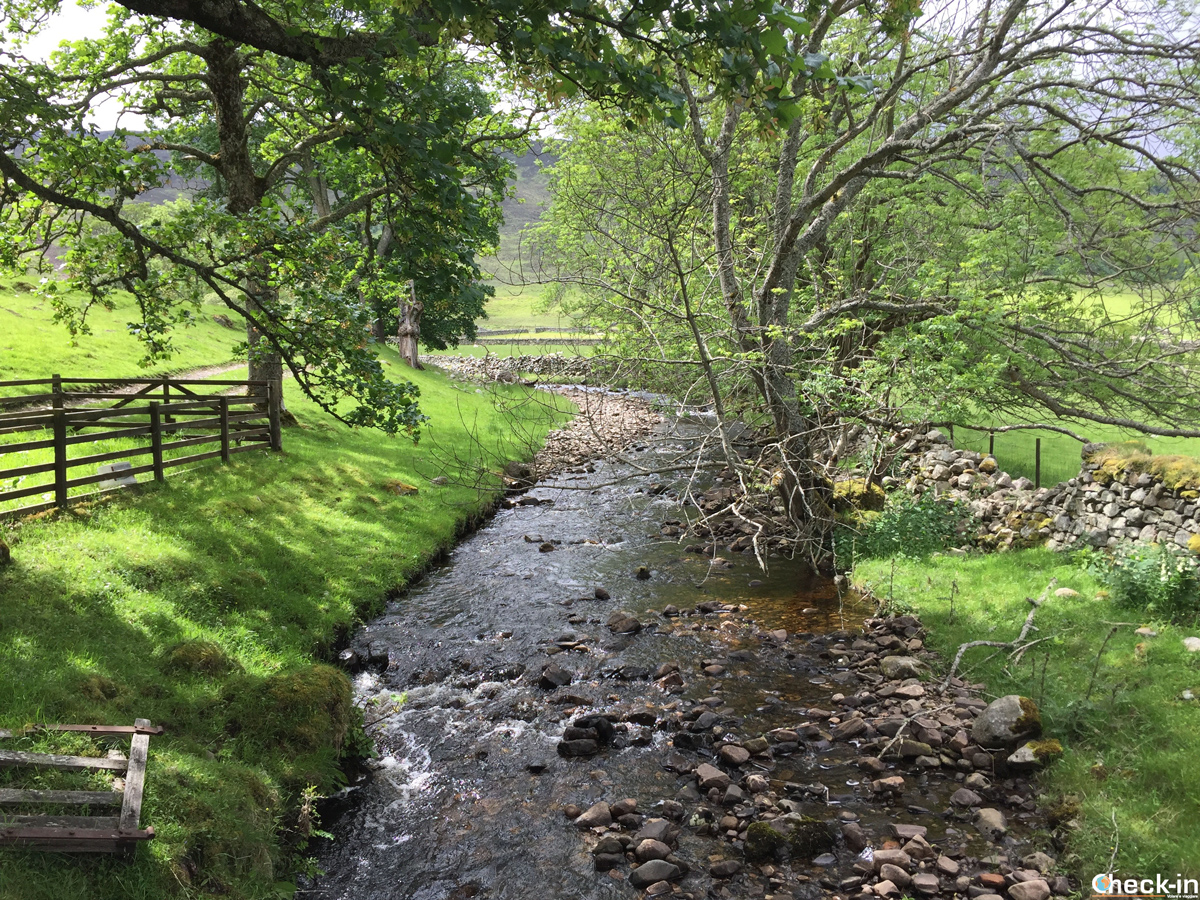 A river in Dunalastair Estate - Kinloch Rannoch, Scotland