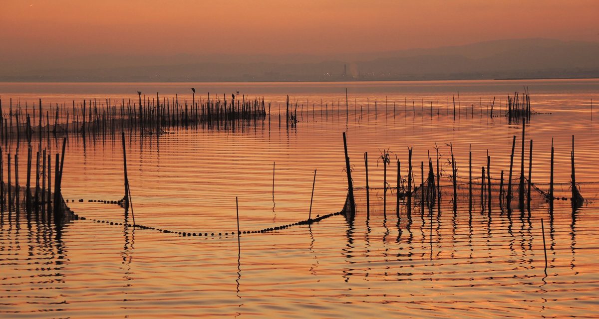 Parco Dellalbufera Di Valencia Come Arrivare Spiagge