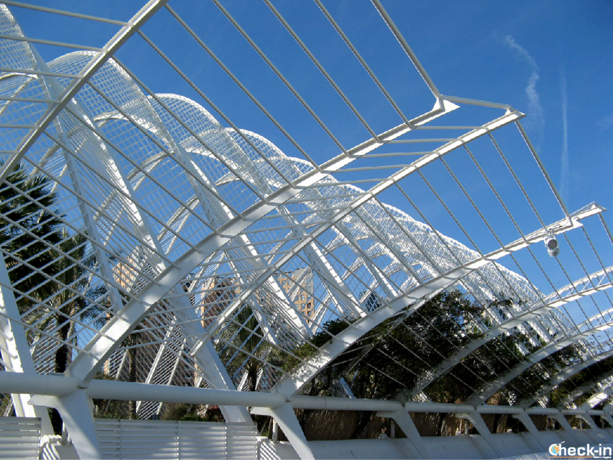 Visita della città delle arti e delle scienze di valencia orari e ... Citta delle arti e delle scienze di valencia