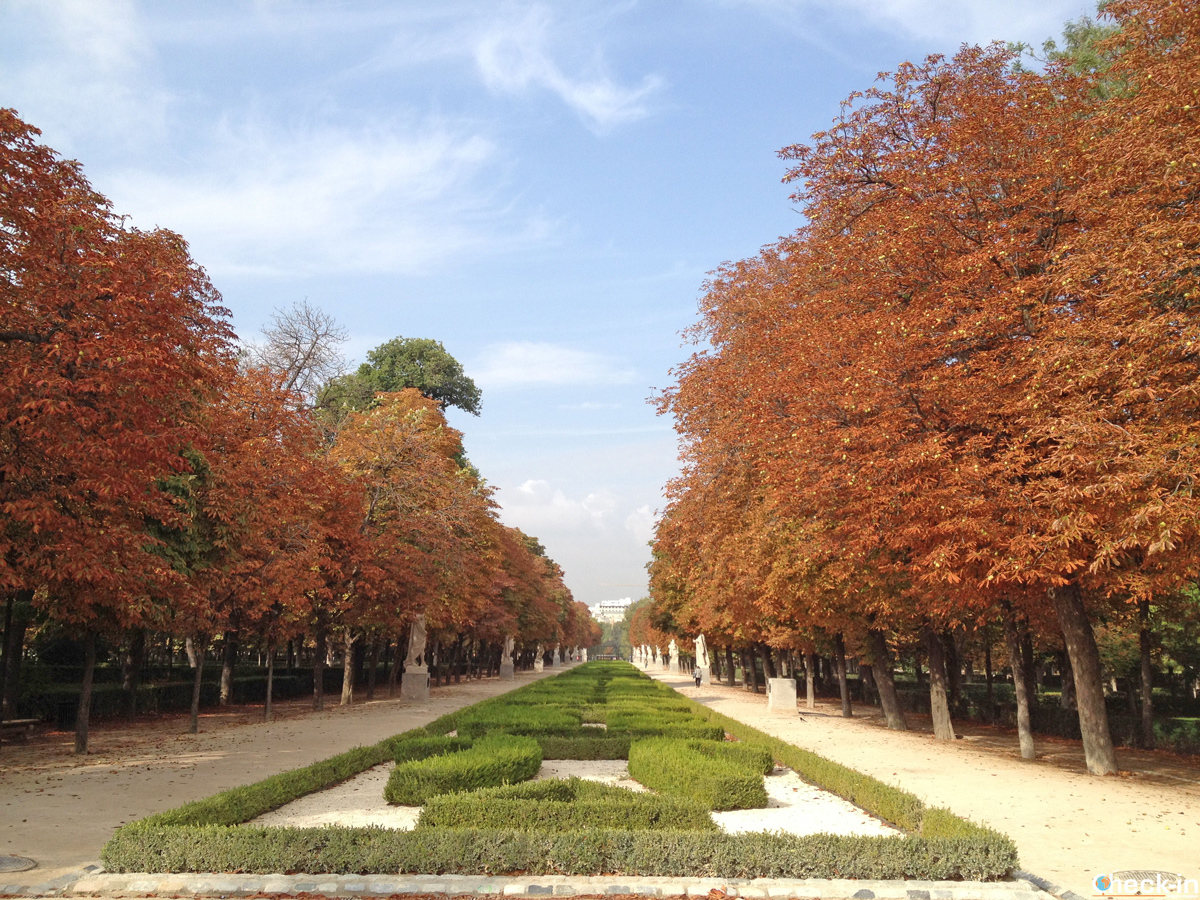Il parco del Retiro di Madrid durante il foliage autunnale