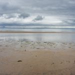 Leven: passeggiata lungo la costa del Fife fino a Lower Largo, paese natale di “Robinson Crusoe”