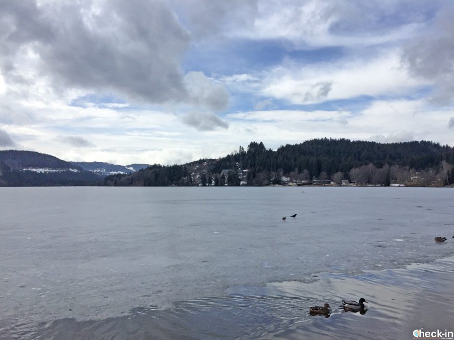 Il lago di Titisee, una dei luoghi più visitati della Foresta Nera