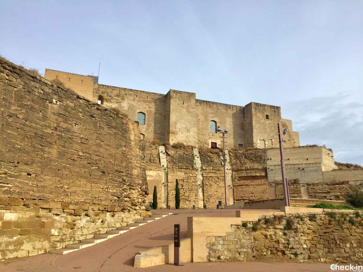 Visita de Lleida (Cataluña) - Castillo del Rey-La Suda