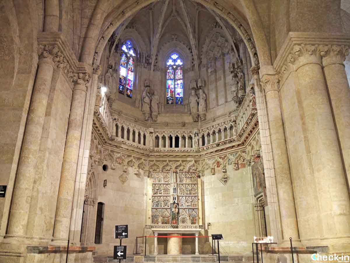 Lugares para visitar en Tarragona: la Catedral