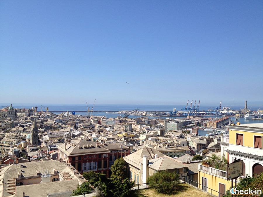 Where to see Genoa city centre from above - Spianata Castelletto