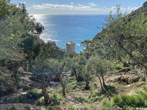 Come raggiungere l'Abbazia di San Fruttuoso a piedi da Camogli e/o Portofino - Liguria di levante