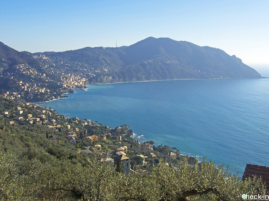 Sentiero panoramico sul Golfo Paradiso da Sant'Apollinare (Sori) - Riviera ligure di levante