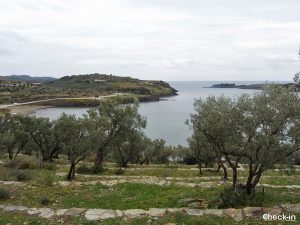 Olivos alrededor de la Casa de Dalí en Port Lligat - Costa Brava, España del norte