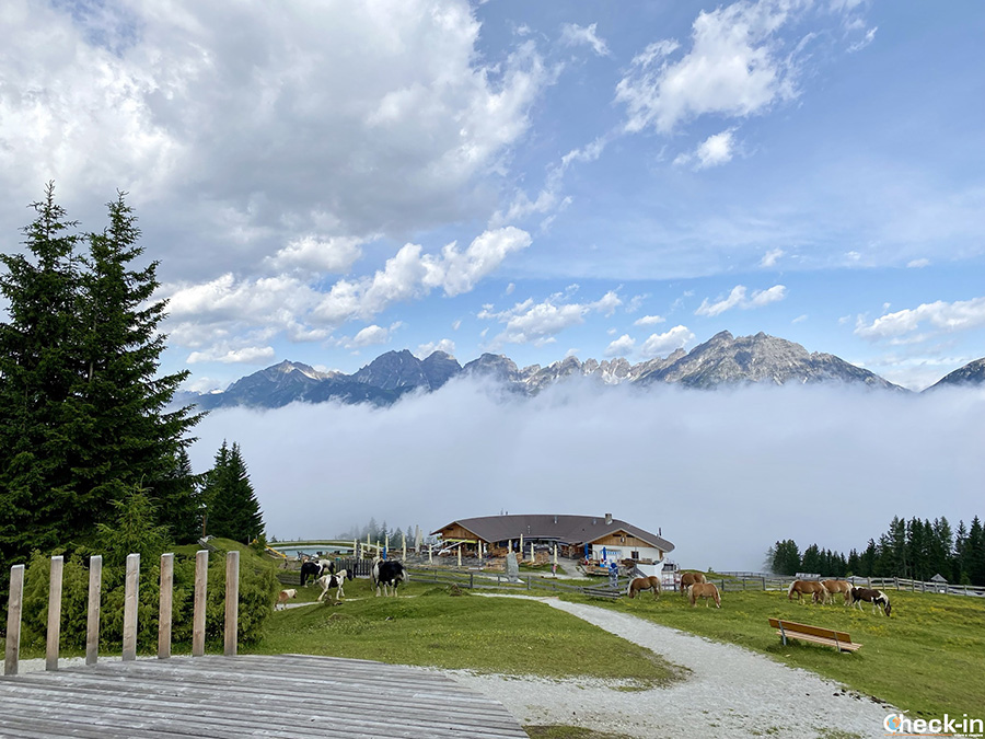 Informazioni per vacanza in Stubaital (Tirolo, Austria): funivia Serlesbahnen a Mieders