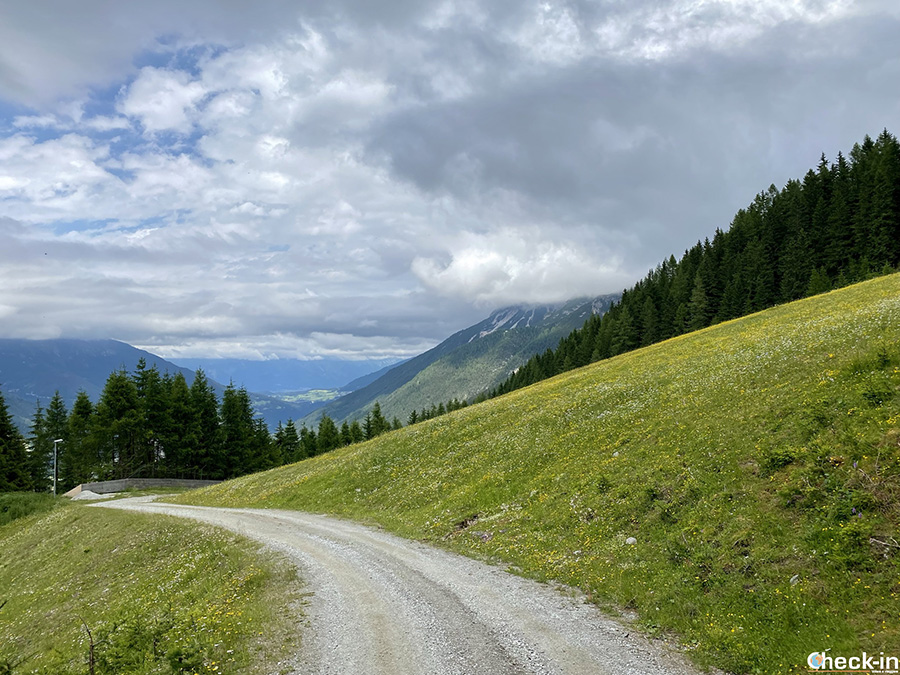 Rete di sentieri nei dintorni di Neustift-Elferbahnen - Valle di Stubai, Tirolo