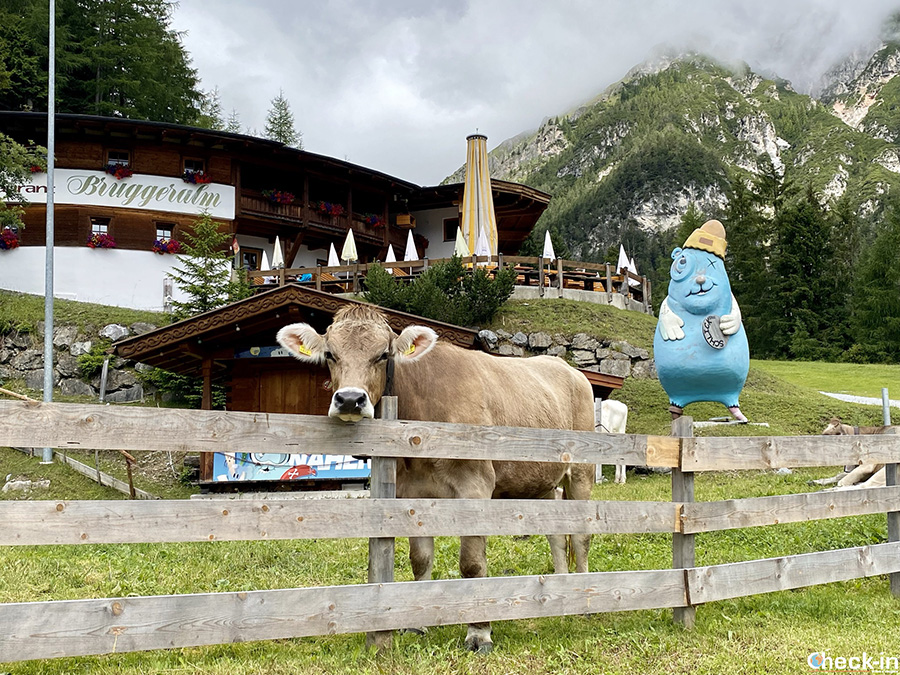 Escursioni in famiglia nella Valle di Stubai in Tirolo - Comprensorio Schlick 2000