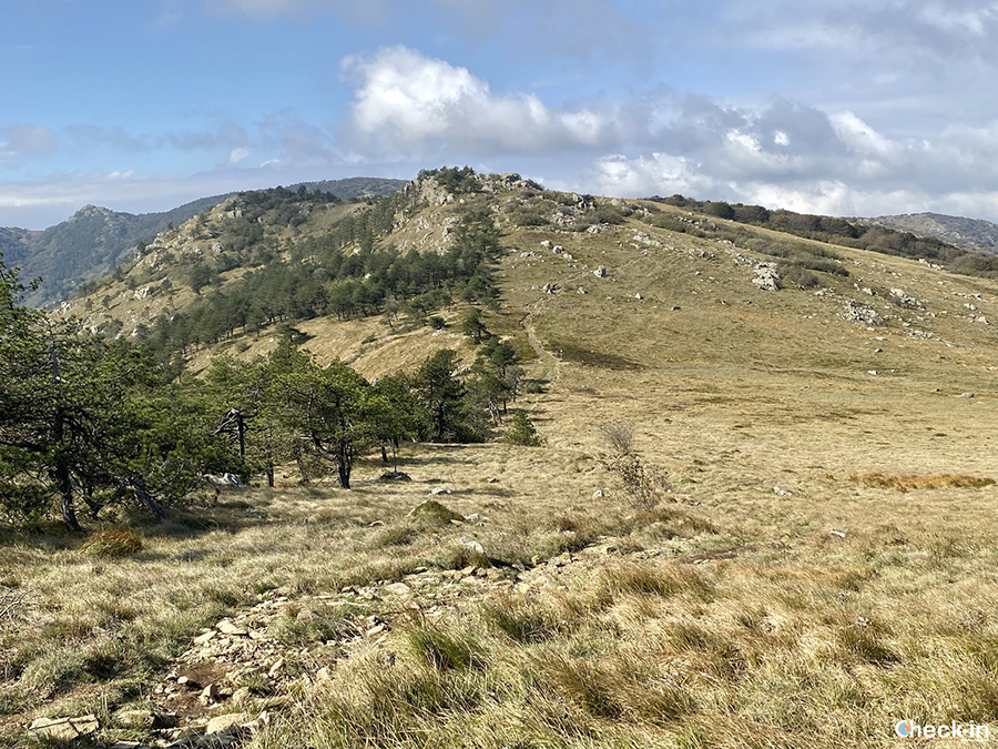 Sentiero da Passo del Faiallo al Rifugio Pratorotondo - Escursionismo sull'appennino ligure