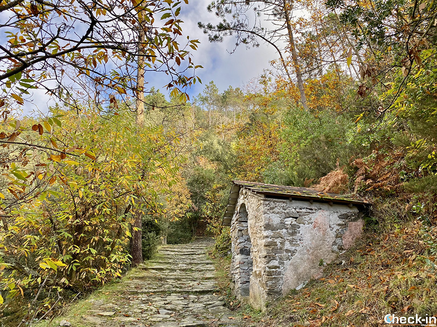 Cappella sul sentiero n. 509 verso il Santuario NS di Soviore - Monterosso, 5 Terre