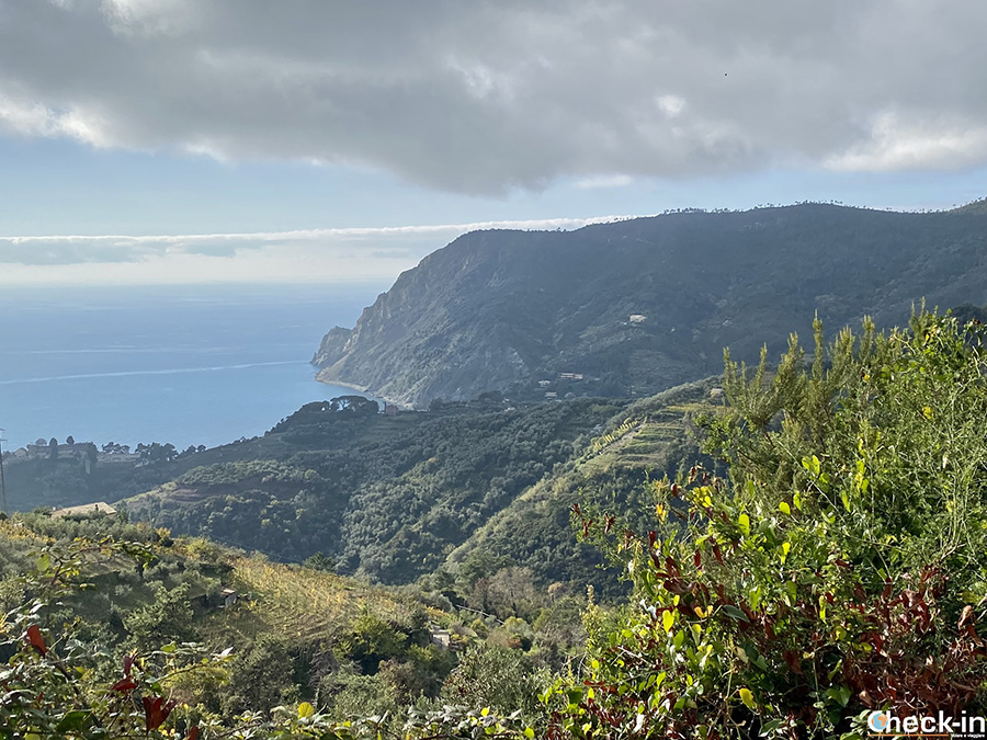 Belvedere dal Santuario di Soviore sulla costa tra Monterosso e Levanto - 5 Terre, Liguria