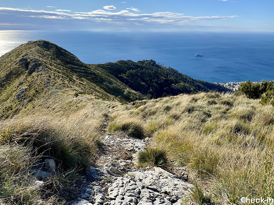 Panorama dal crinale verso il monte Fasce - Trekking urbano a Genova (Liguria)