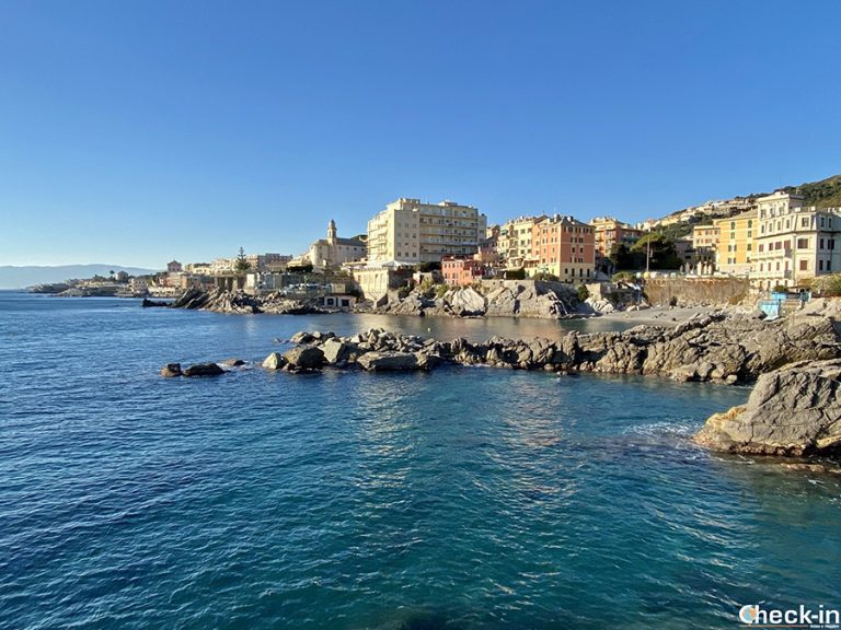 Monti Moro e Fasce (Liguria), trekking urbano da Genova Quinto al mare