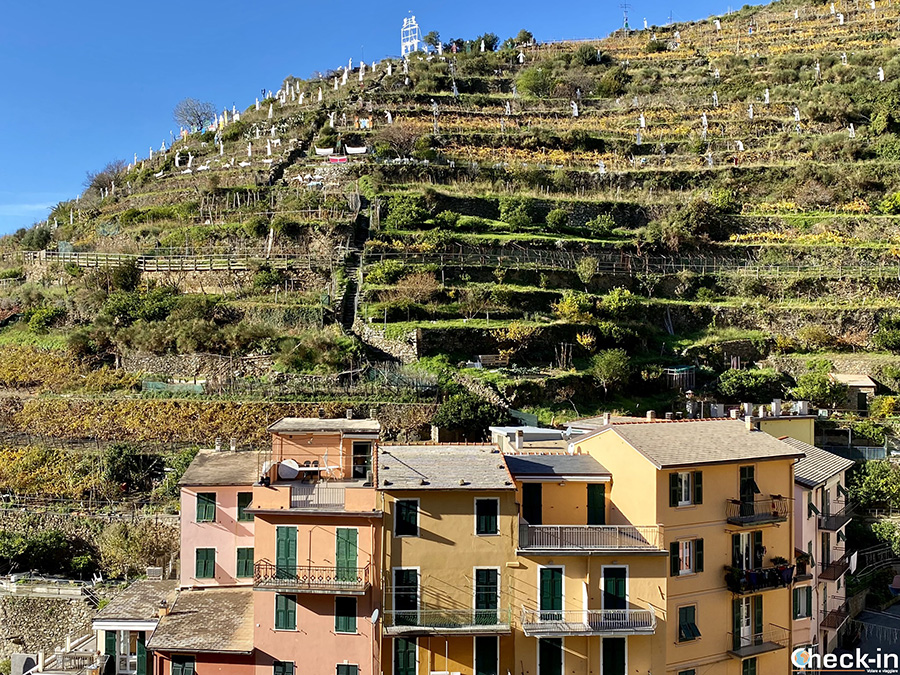 Presepe di Manarola sulla Collina delle 3 Croci - Trekking nelle 5 Terre, Liguria