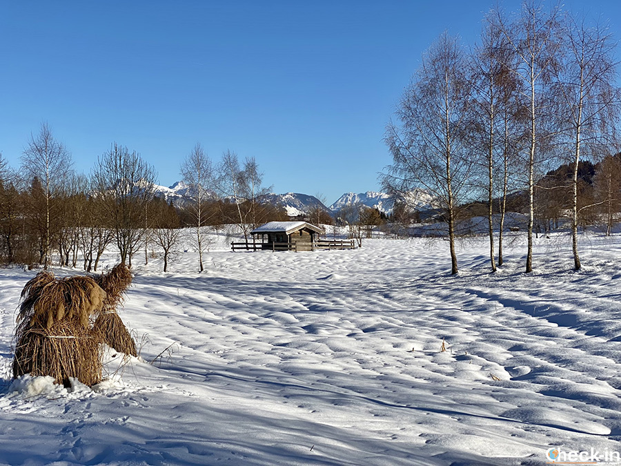 Perché fare una vacanza in Tirolo in inverno - Ellmau, Wilder Kaiser