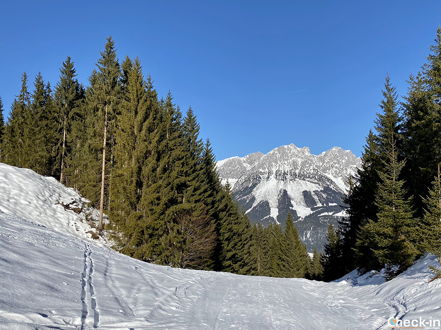 Percorsi con ciaspole o ramponi in Tirolo (Austria) - M.te Hartkaiser da Ellmau