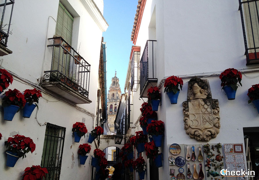 Mejores 11 excursiones desde Sevilla: visita de Córdoba