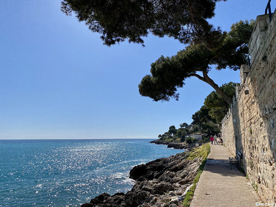 Camminate costiere più belle in Costa Azzurra: Sentiero dei Doganieri da Cap Martin a Monaco