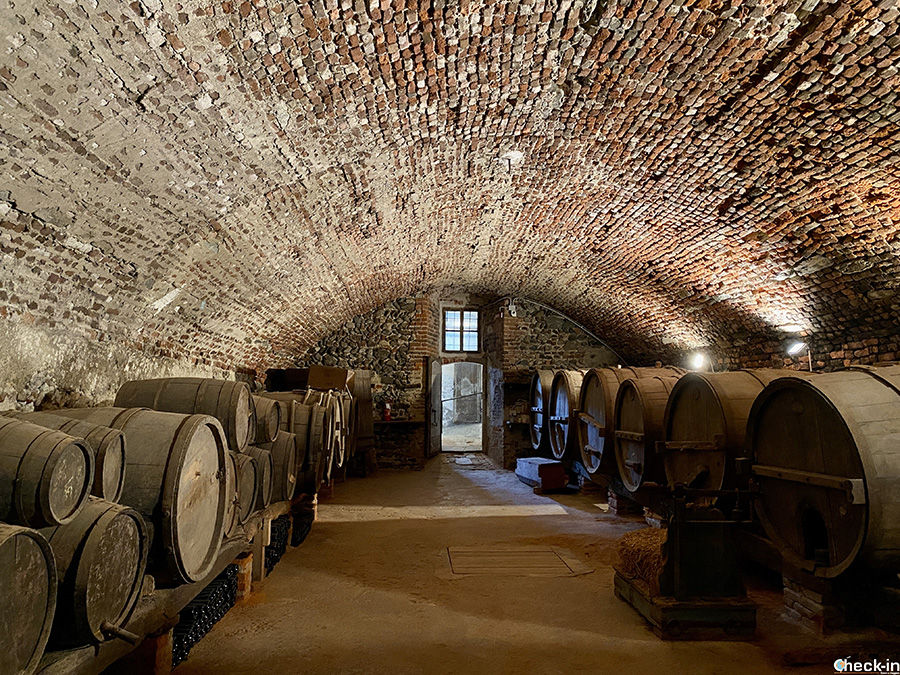 Visite a tema nel Castello di Masino: le cantine per la produzione vinicola