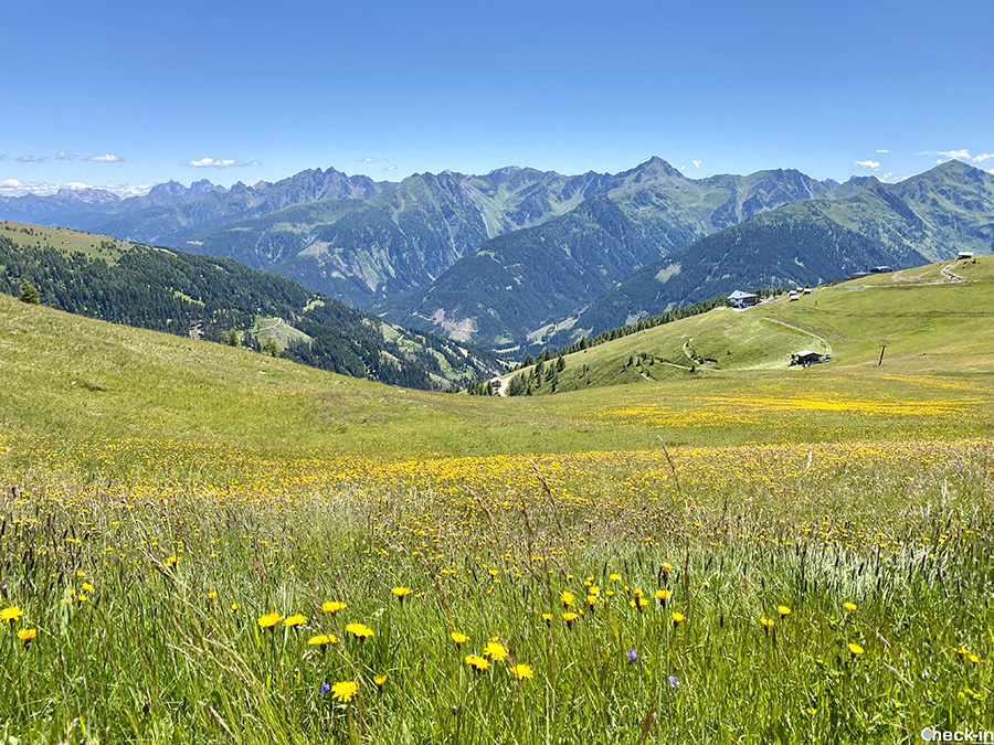 Mete ideali per una vacanza in montagna d'estate: Osttirol (Austria)