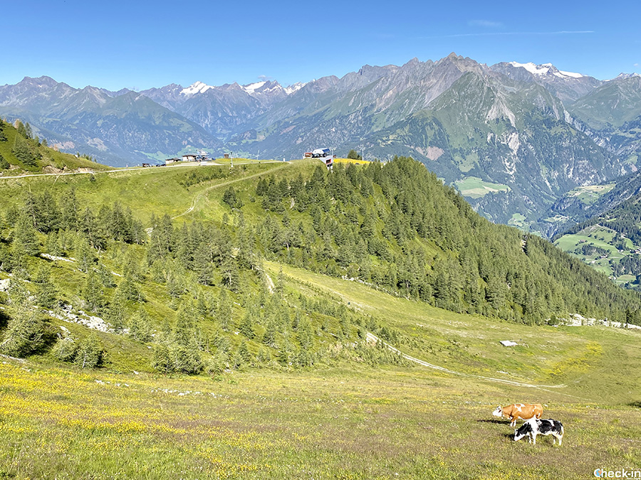 Camminate estive per famiglie nel Parco Nazionale Alti Tauri (Austria): funivia Großglockner Resort da Matrei