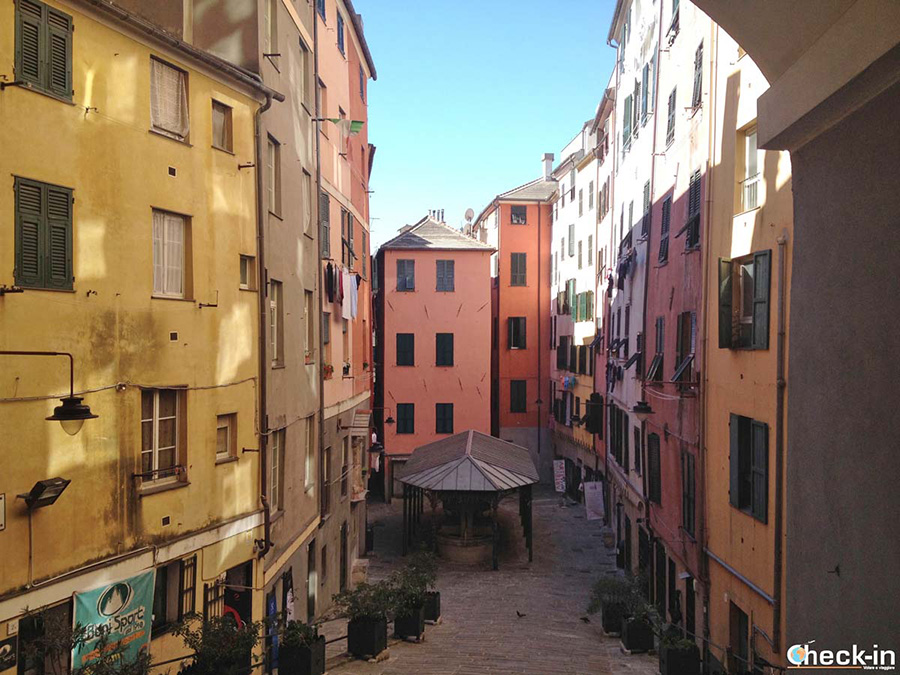 Tour gastronomico di street food in centro a Genova: orari, itinerario e prenotazione online