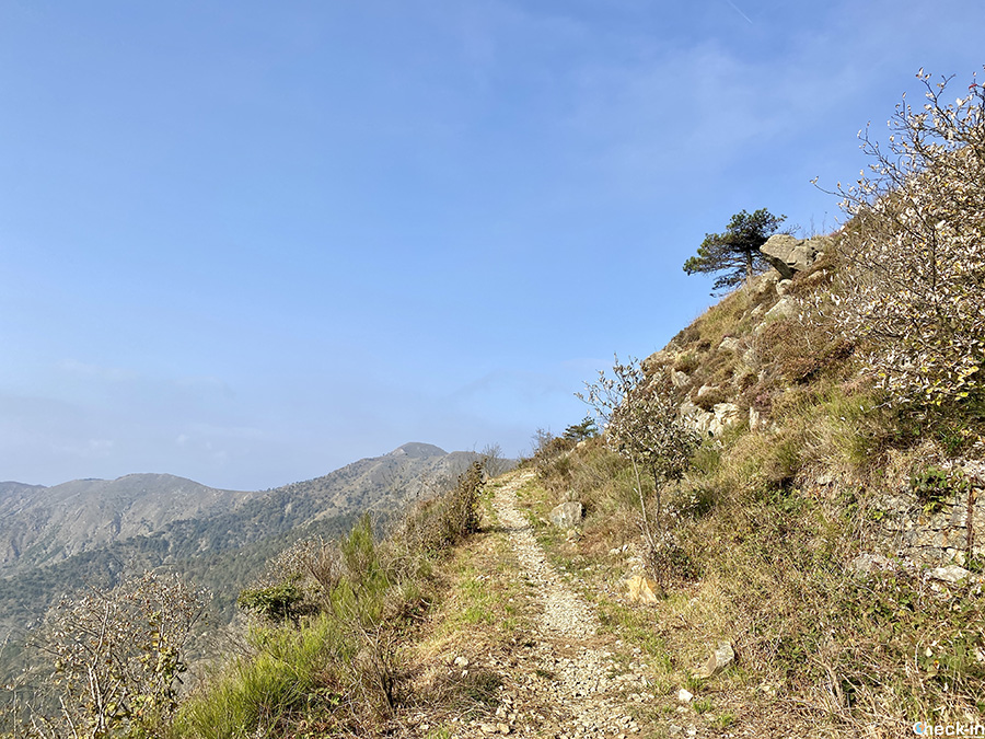 Sentieri nel Parco delle Capanne di Marcarolo: ascesa al Monte Figne