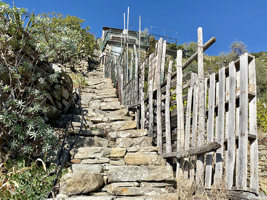 Trekking meno noti vicino alle Cinque Terre: scalinata di Schiara da Campiglia
