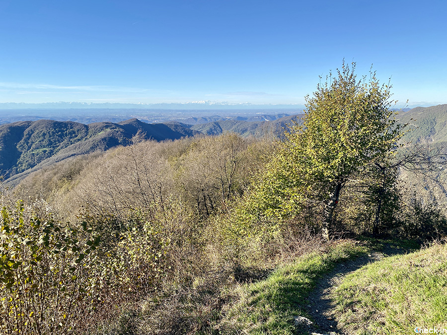 Panorama dalla cima del Monte Reale: vista dell'arco alpino e del Monte Rosa