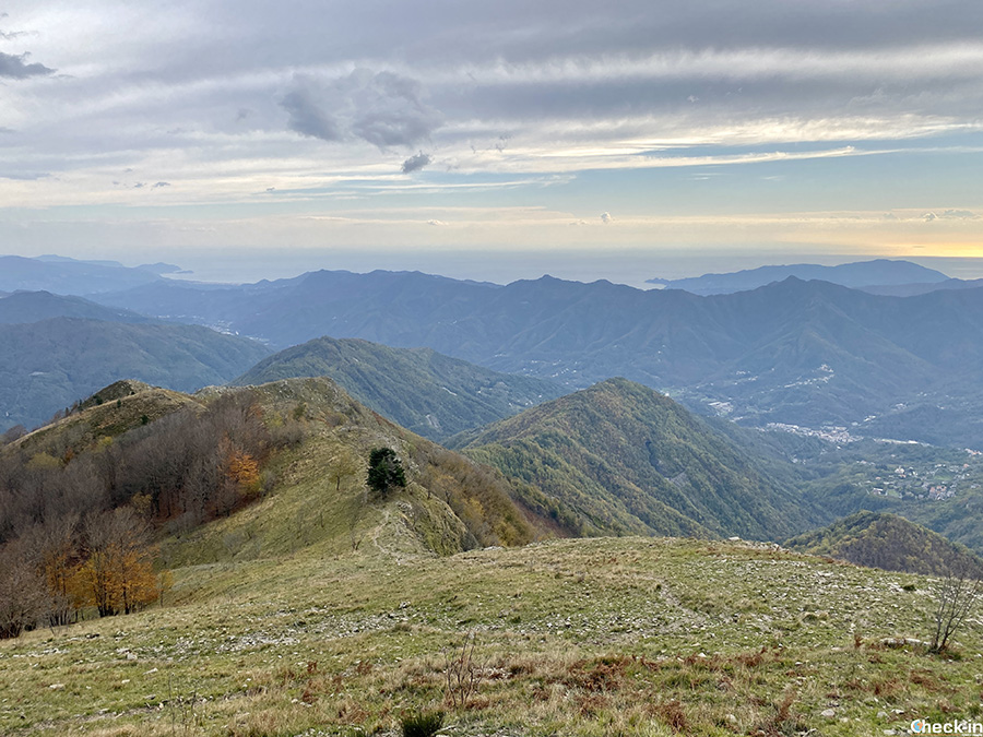 Cime panoramiche sulla costa ligure: Monte Caucaso (Appennino genovese)