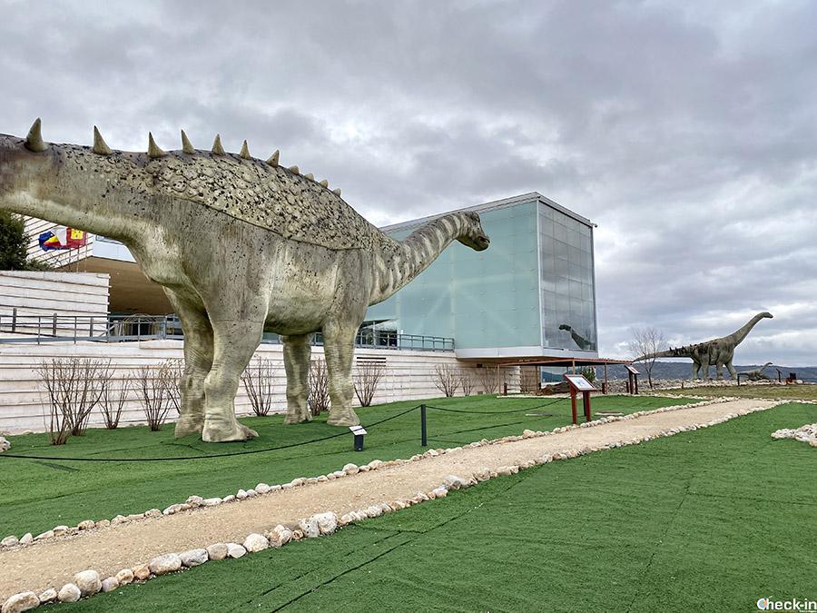 Musei da visitare con bambini a Cuenca: MUPA, Museo dei dinosauri