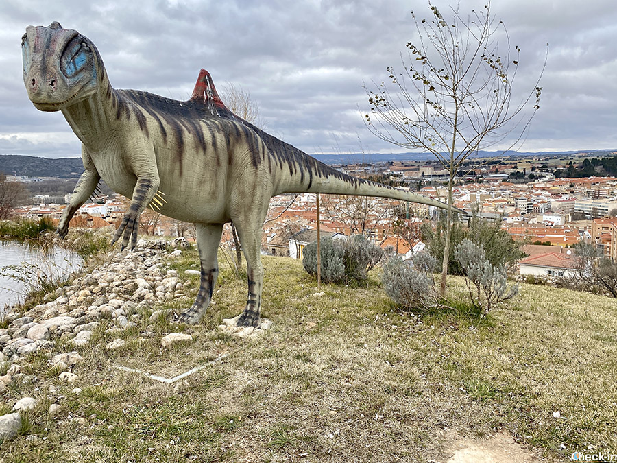 Dinosauro Concavenator Corvatus - Riproduzione al Museo Paleontológico di Cuenca (Spagna)