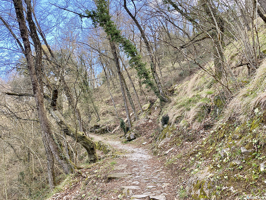 Camminate semplici da fare a Rapallo: "Sentiero Chighizola" da Montallegro al Passo della Crocetta