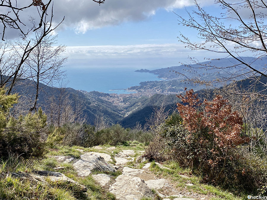 Escursione dal Passo della Crocetta al Monte Pegge (Rifugio Margherita) con vista sul promontorio di Portofino