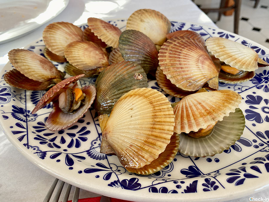 Piatti a base di molluschi da provare in Galizia: le Zamburiñas (simili alle capesante)