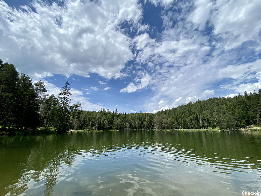 Lago balneabile vicino a Seefeld (Tirolo): Möserer See