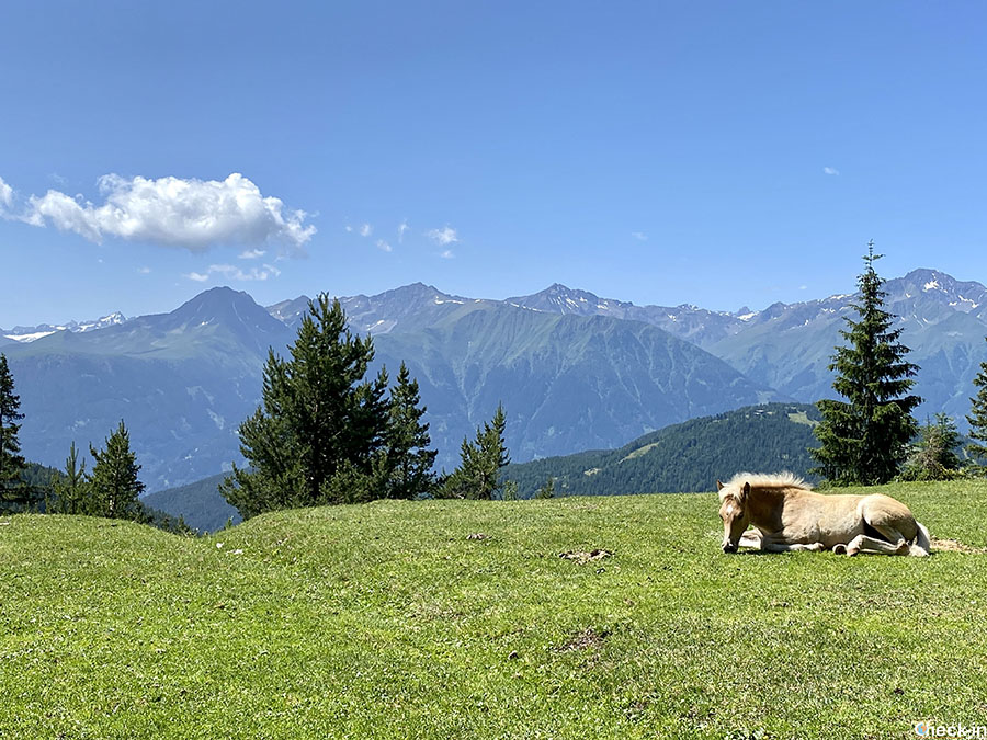 5 gite in famiglia vicino a Innsbruck: Bergbahnen Rosshütte a Seefeld
