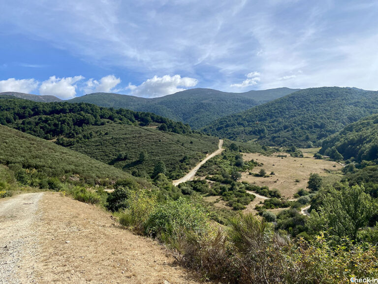 Bandiera Castiglia E León In Formato Paesaggio - 32x40 Cm, 0.135 M², Qualità Premium Per Rappresentanza