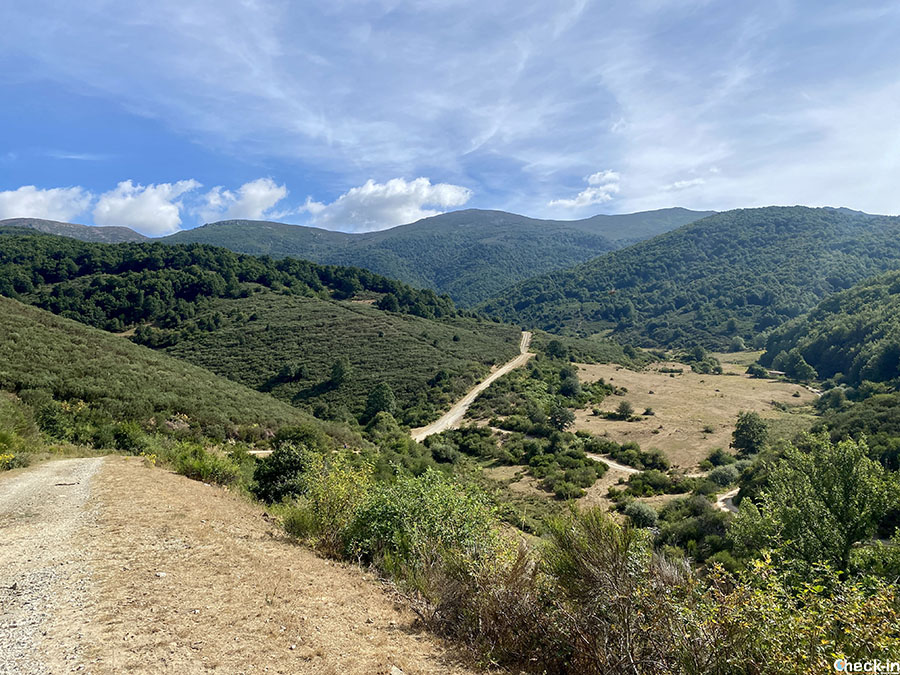 5 attività da fare a Riaño: camminata tra i boschi nella valle de Hormas