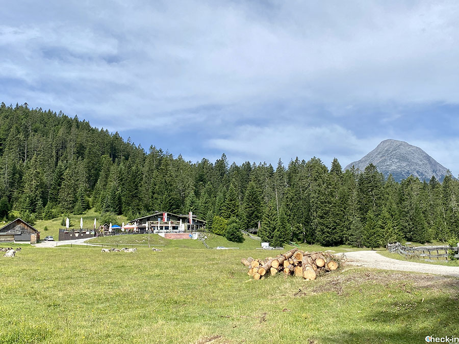 5 trekking facili da fare a Seefeld: anello del belvedere Brunschkopf e rifugio Wildmoosalm