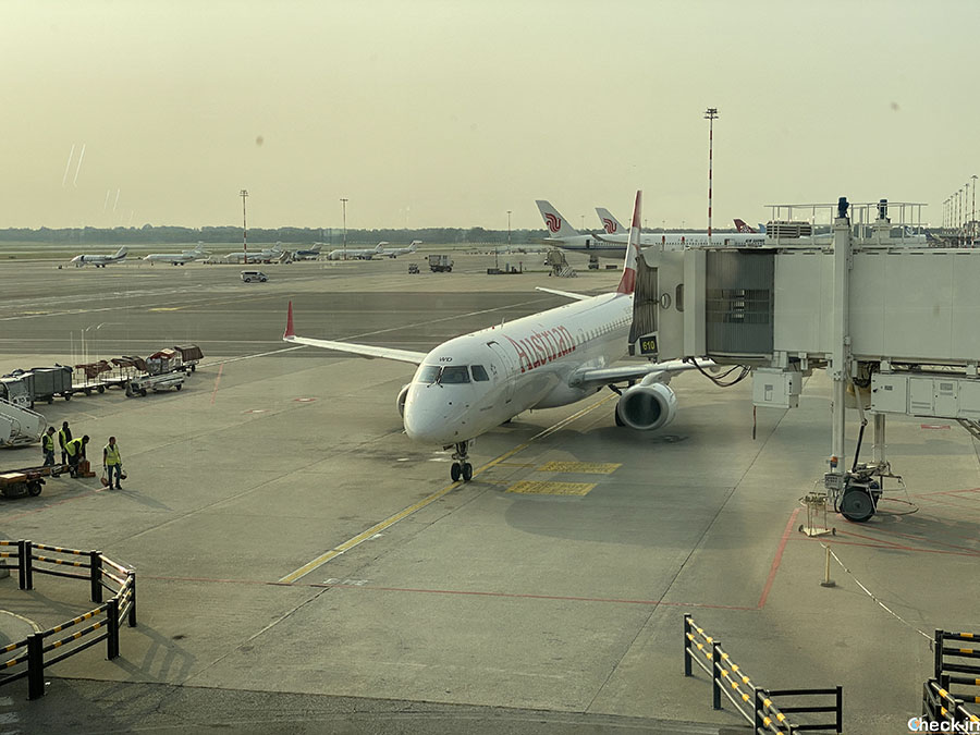Informazioni su Austrian Airlines: da dove parte, dimensioni e peso del bagaglio a mano e da stiva, tariffe di viaggio